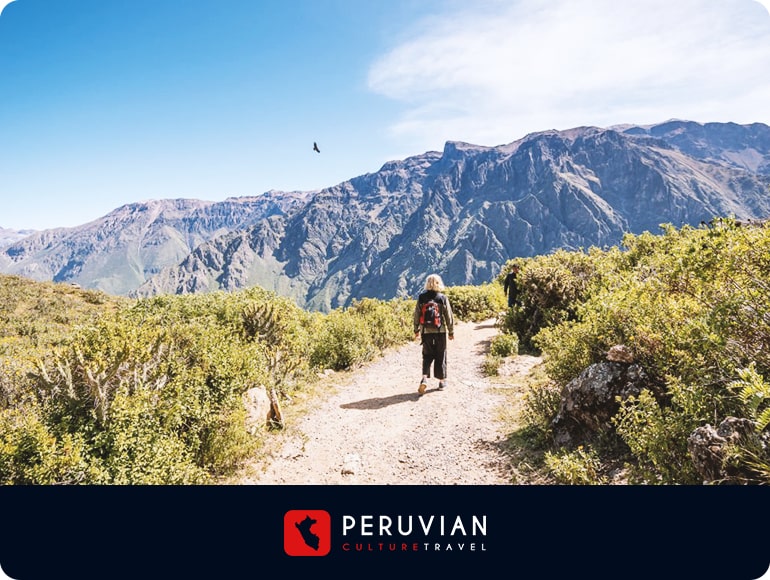 Tours convencionales - Agencia de Viajes y Operador Turístico en Arequipa - Perú