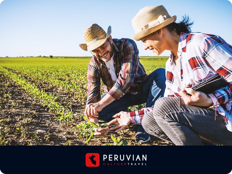 Experiencias especiales - Agencia de Viajes y Operador Turístico en Arequipa - Perú