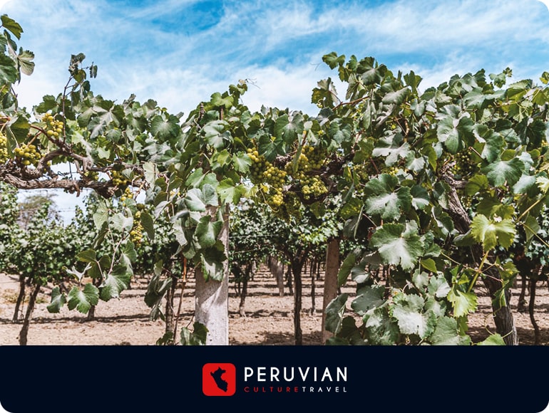 Experiencias especiales - Agencia de Viajes y Operador Turístico en Arequipa - Perú